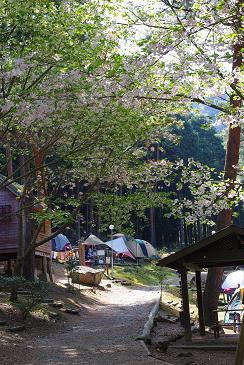a0114901_14105955.jpg