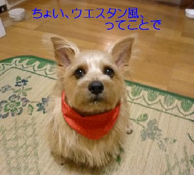 a0154801_23103181.jpg