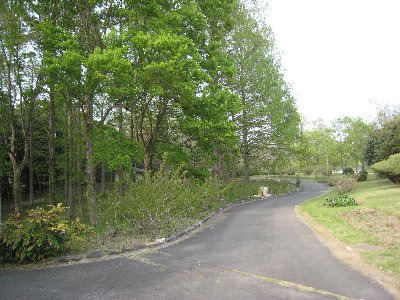 e0033301_20513490.jpg