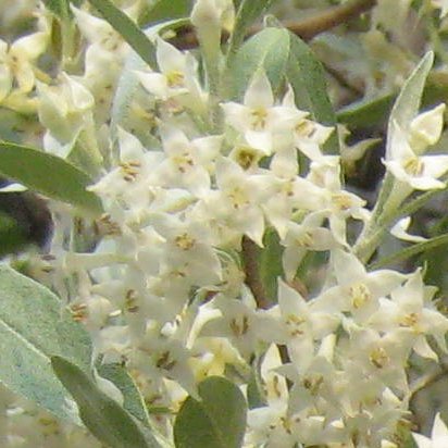 e0033301_20565115.jpg