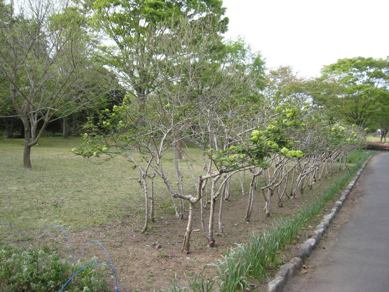 e0033301_20574697.jpg