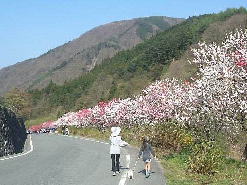 a0051402_1184059.jpg