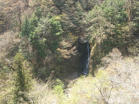 a0051402_21368.jpg