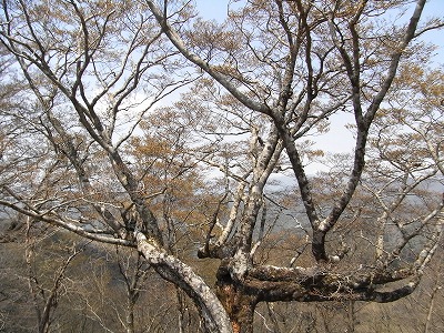 f0187402_10204194.jpg