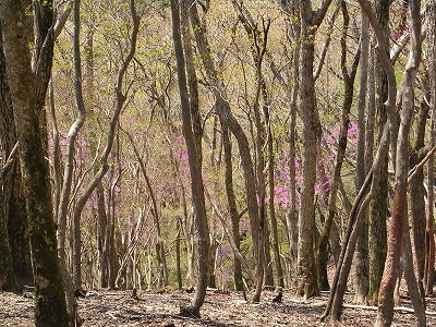 f0187402_10205726.jpg