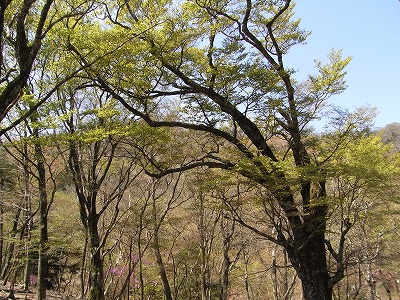 f0187402_1020596.jpg