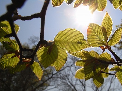 f0187402_10211275.jpg