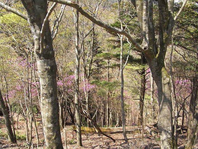 f0187402_102154.jpg