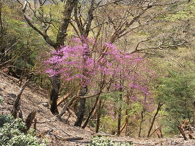 f0187402_1021598.jpg