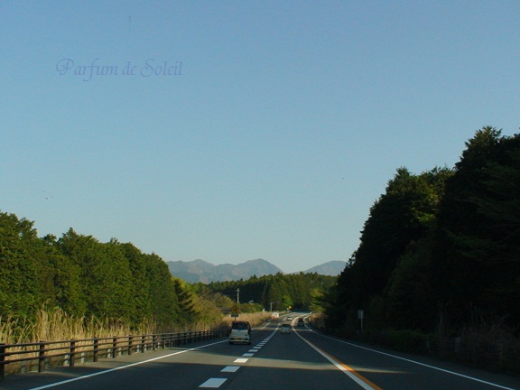 d0087503_2244626.jpg