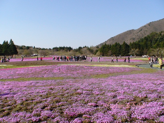 d0087503_22461739.jpg