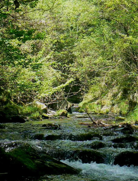 f0164503_14105372.jpg