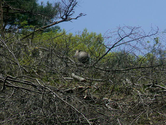 f0164503_14195264.jpg