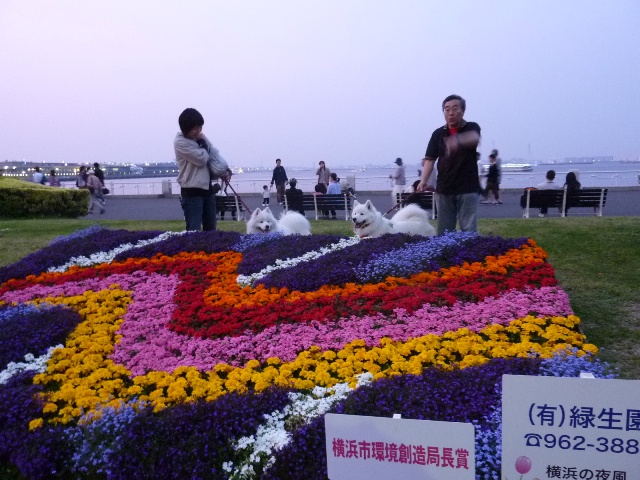 e0018604_13134144.jpg