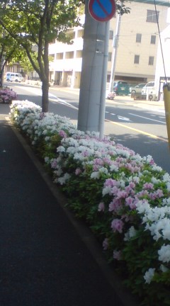 e0134907_15224659.jpg
