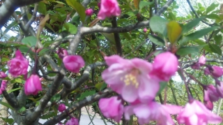 c0060308_10363499.jpg