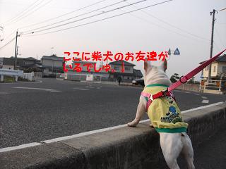 a0158613_22513839.jpg