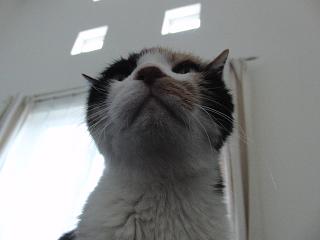 c0201113_22201472.jpg