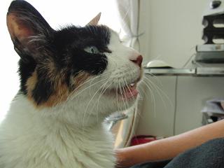 c0201113_22204775.jpg