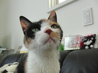 c0201113_22225940.jpg