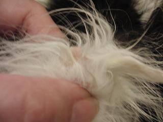 c0201113_2232889.jpg