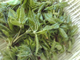 f0233414_7592516.jpg
