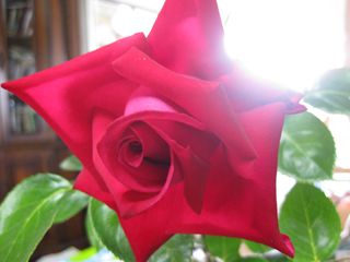 c0226317_19165391.jpg
