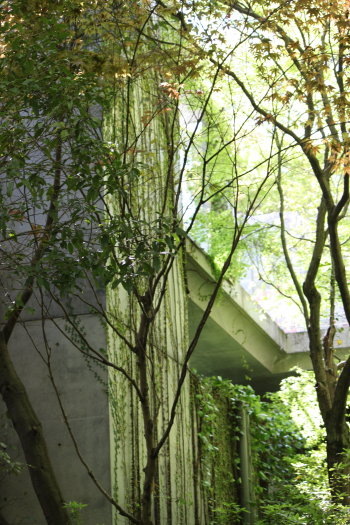 d0072318_9201997.jpg