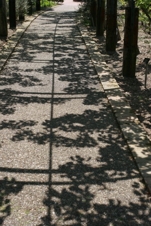 f0097620_16405060.jpg
