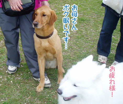 a0044521_1524169.jpg