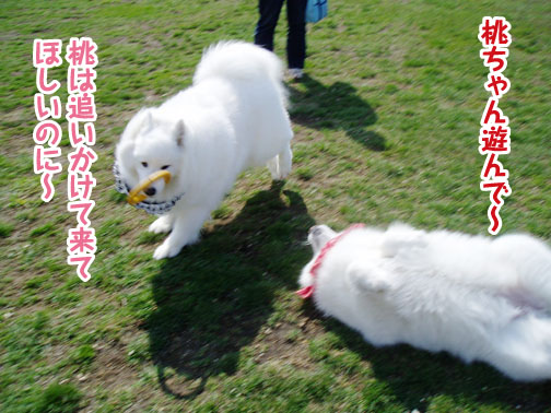 a0044521_1746316.jpg