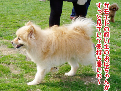 a0044521_1812253.jpg