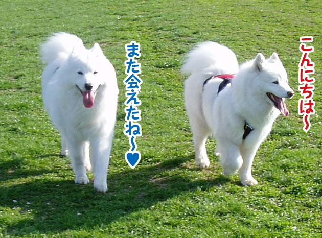 a0044521_1816434.jpg