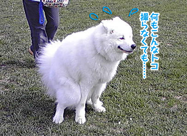 a0044521_18235449.jpg