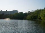 d0074622_17591714.jpg