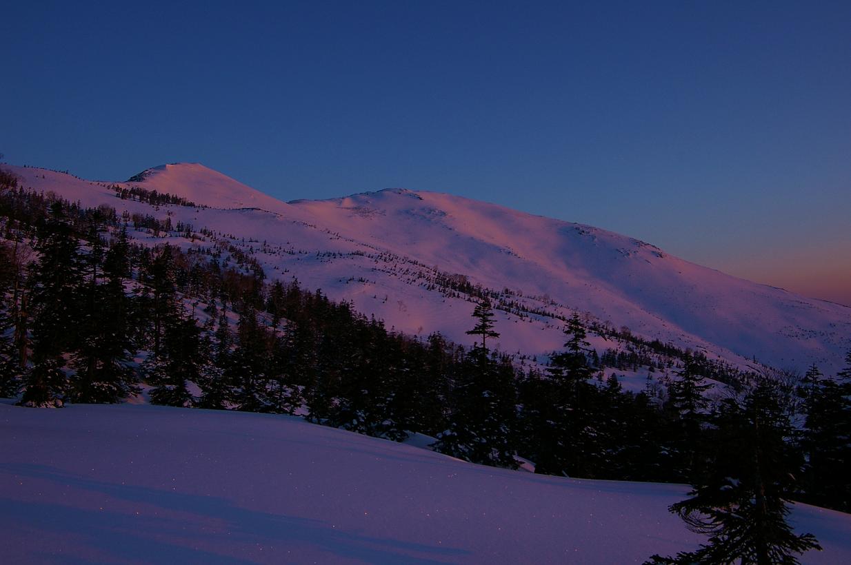 b0062024_647473.jpg