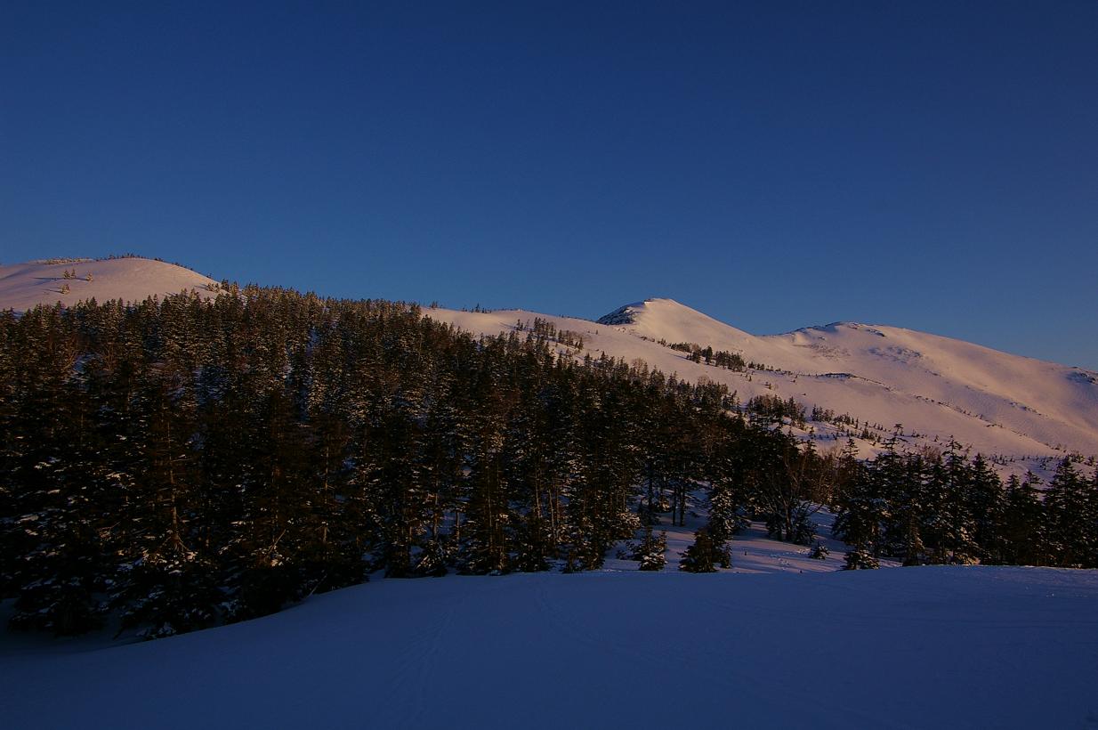 b0062024_7134727.jpg