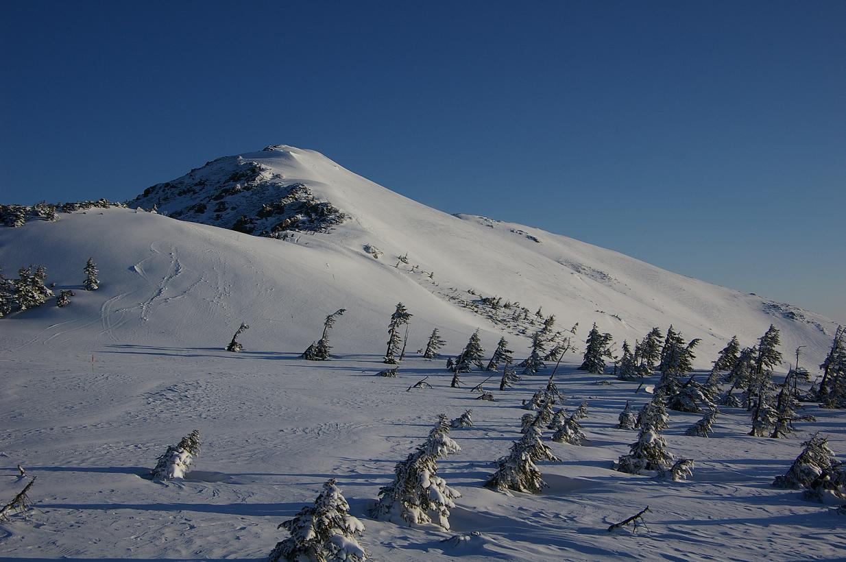 b0062024_718266.jpg