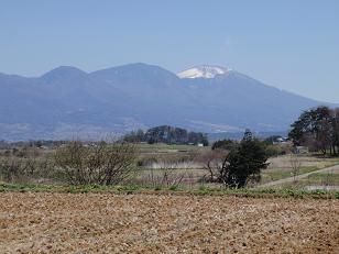 f0022024_1475640.jpg