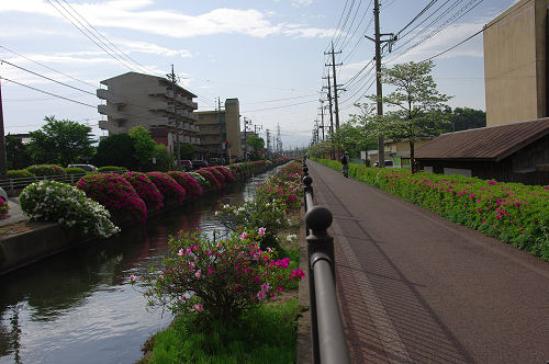 f0007926_9525850.jpg