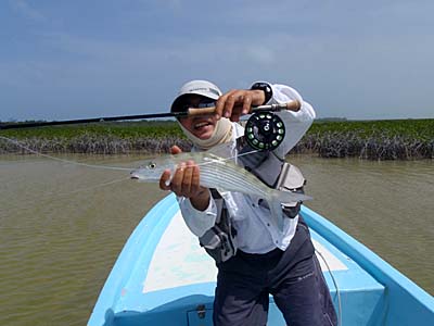 a0050227_22393768.jpg
