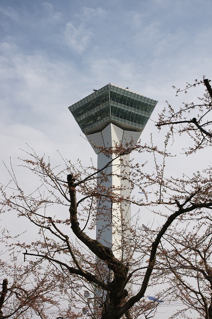 f0046128_9124871.jpg