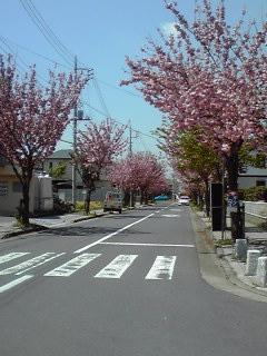 c0059529_1037934.jpg