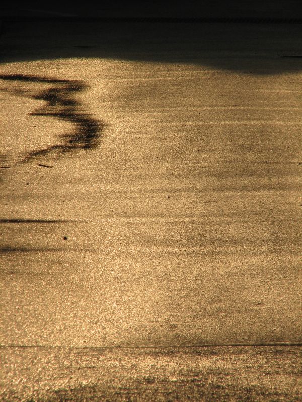 c0085630_21211568.jpg