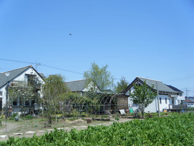 c0110930_2328377.jpg