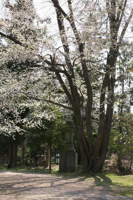 f0017530_20504271.jpg