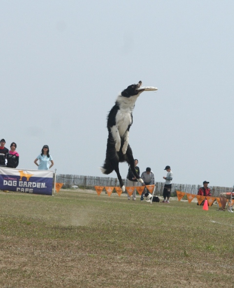 b0085331_1053969.jpg