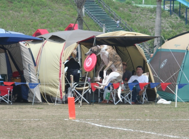 b0085331_1081043.jpg