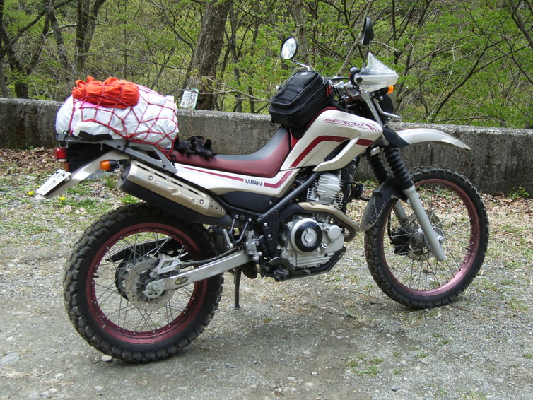 e0063632_224781.jpg