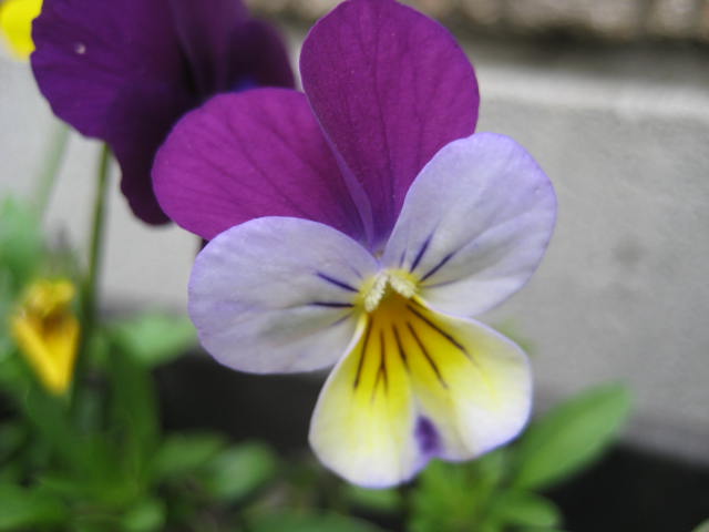 e0166032_2124428.jpg